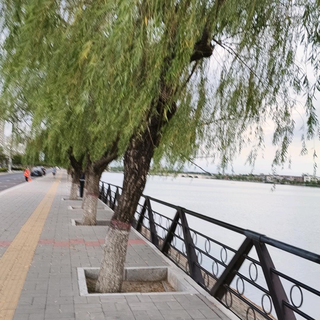 骁阳