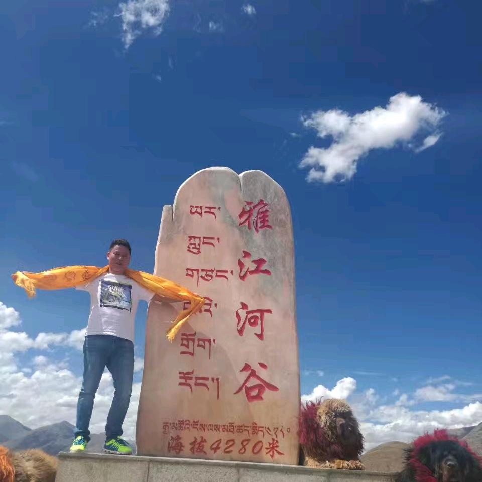 可乐
