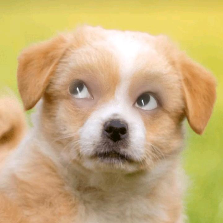 你是我的小宝贝🍭