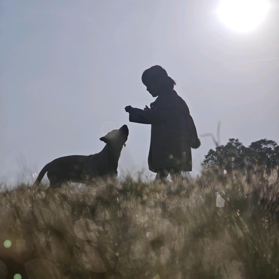 可爸贝妈一起努力鸭