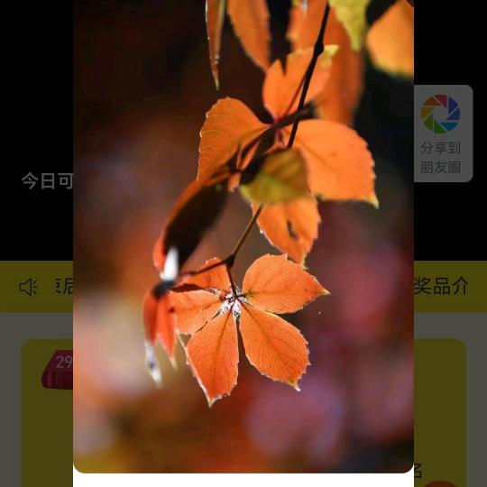 好运连连