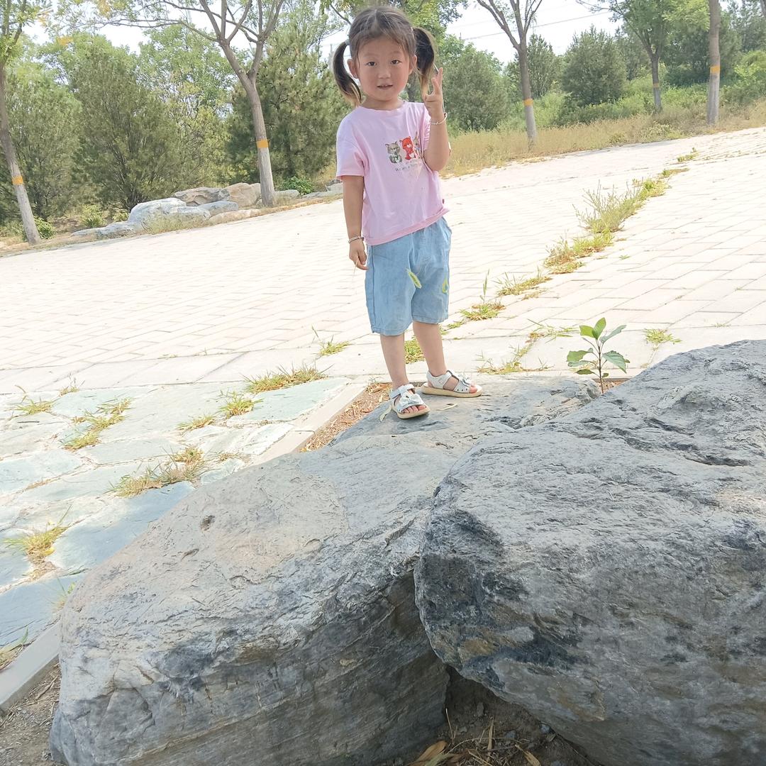 王师傅上蔡专业贴砖