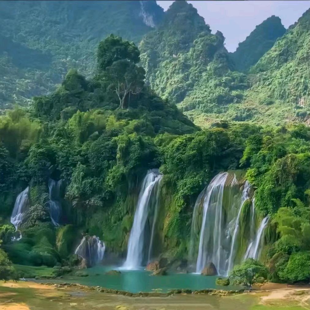 我有一个好主意