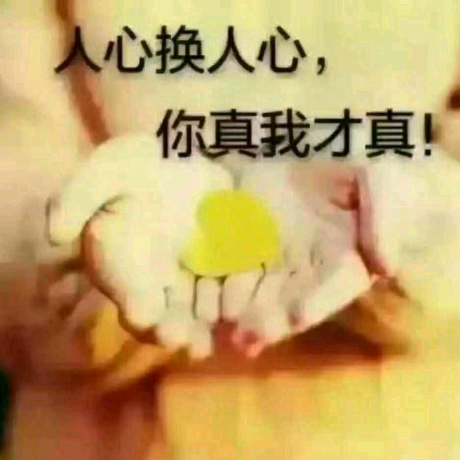 孤诚旧梦