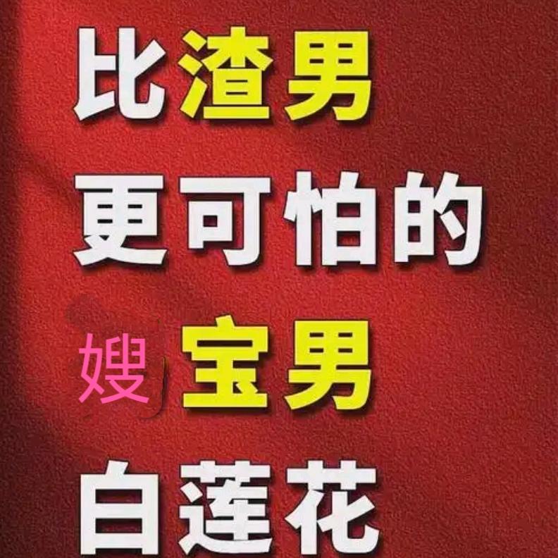 嫂宝男