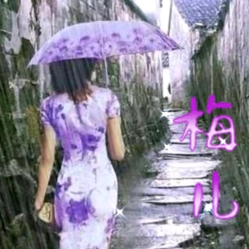 寒梅傲雪