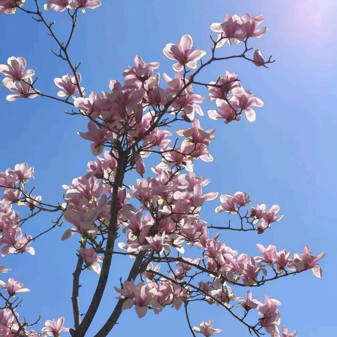 菜市场，农贸市场运营管理