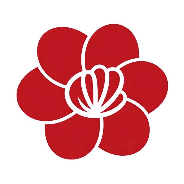 宿松县黄梅戏剧院