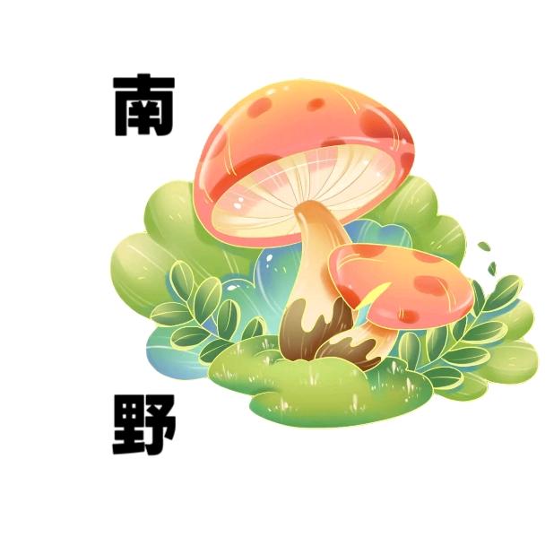 古城区南野土特产店