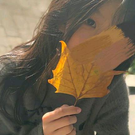 三合宝阁