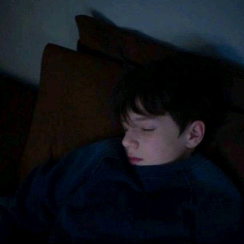 你是不是油猫饼