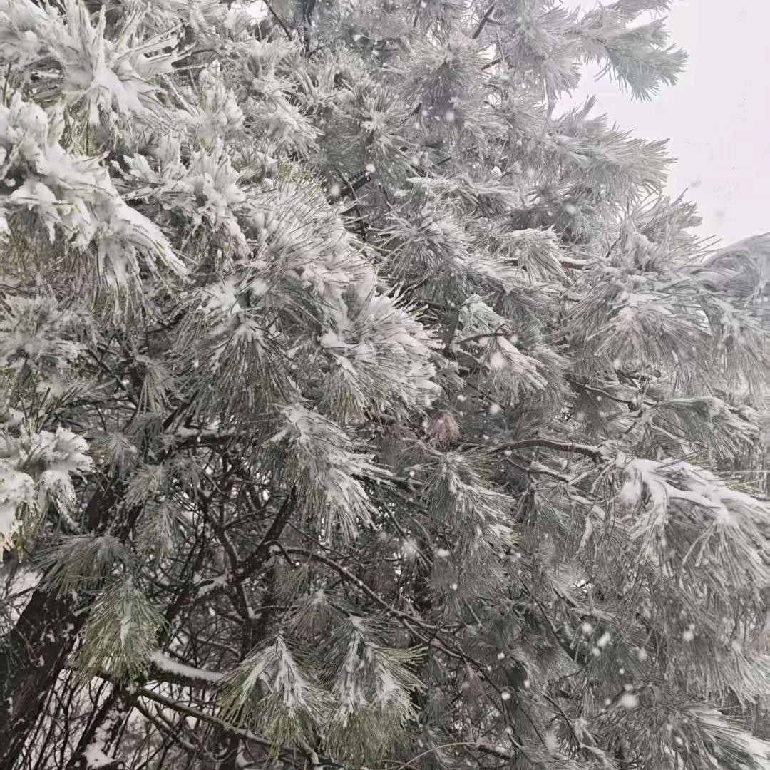 要珍惜自己