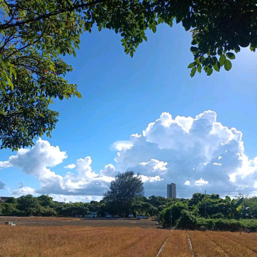 千景（涨粉一千）
