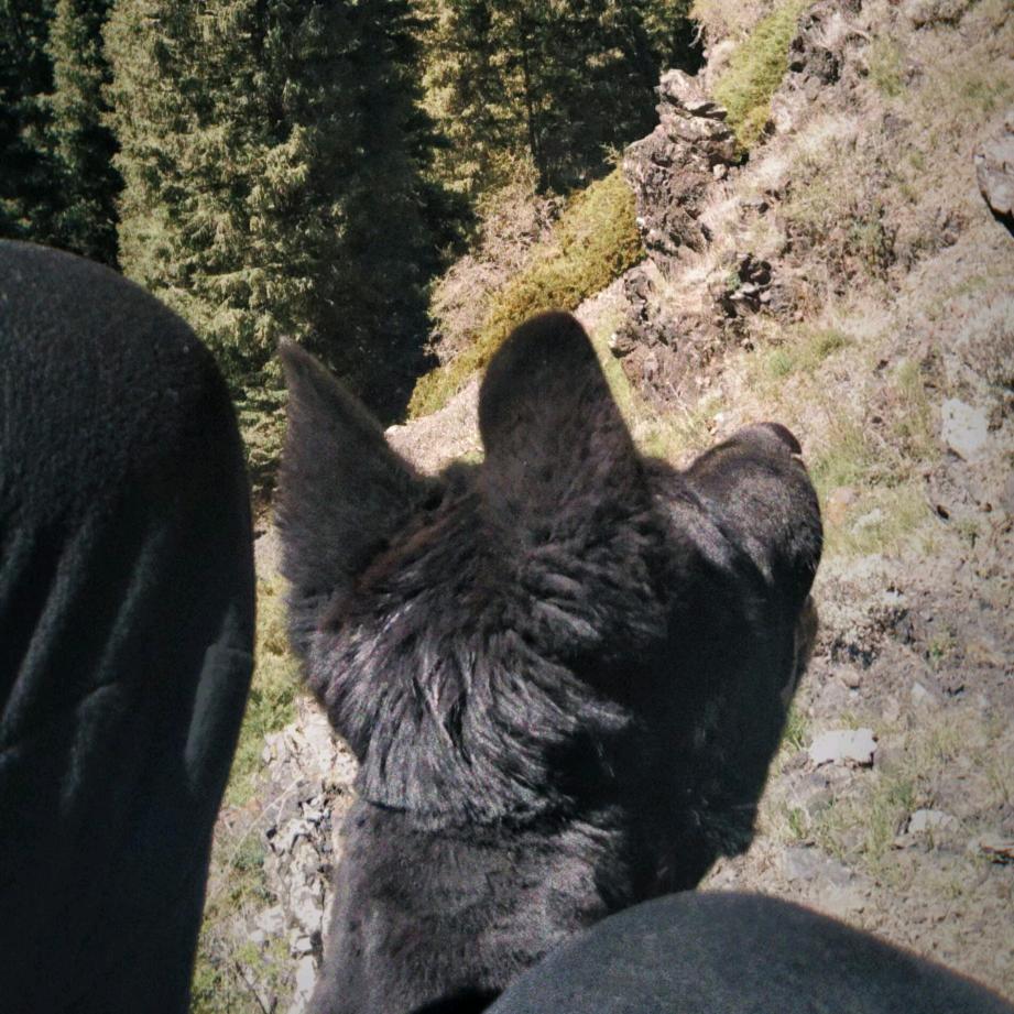 黒寶（烏魯木齊）