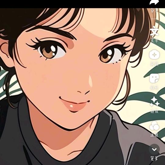 米拉512