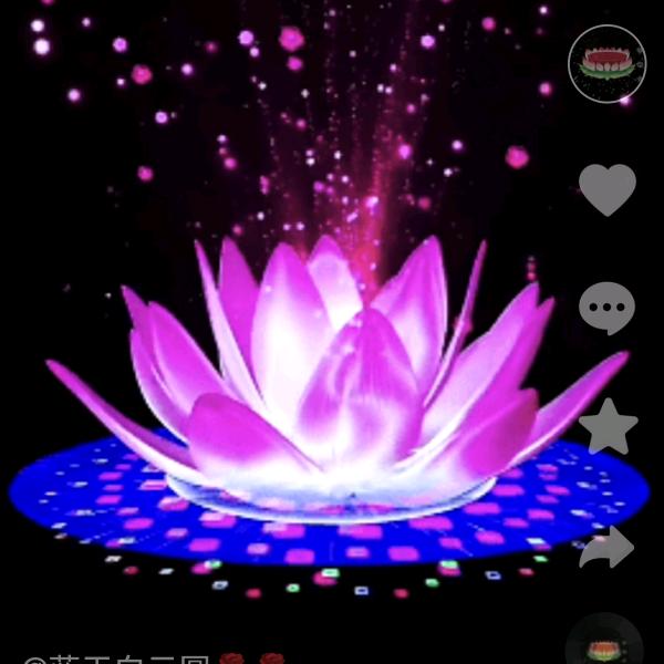 家和万事兴🌸🌸