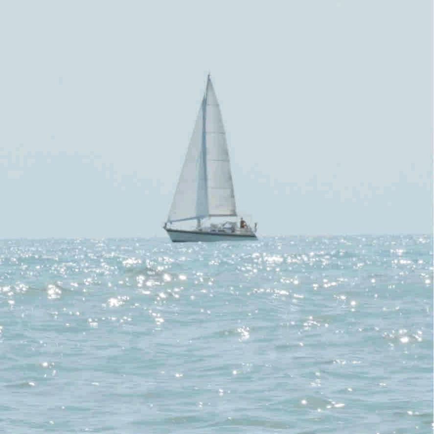 依然热爱这个世界