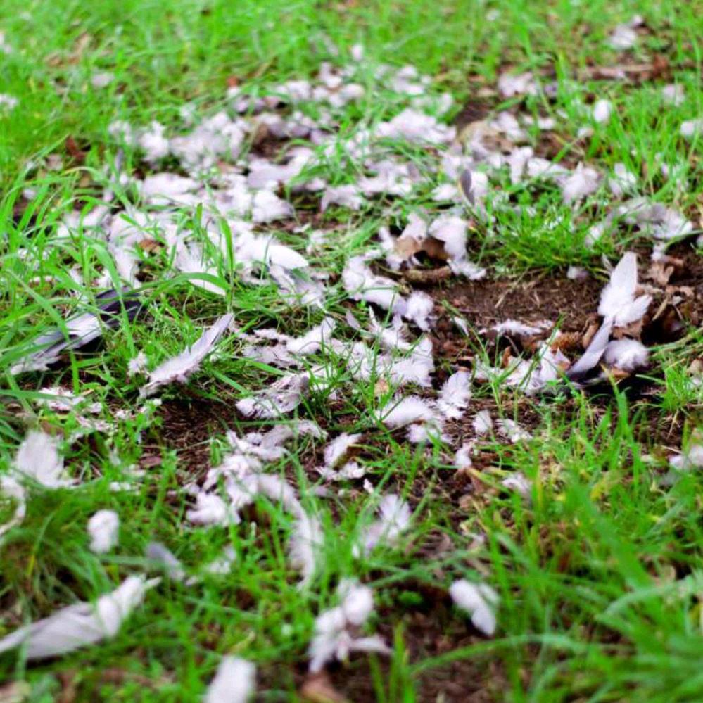 长得丑，想得美