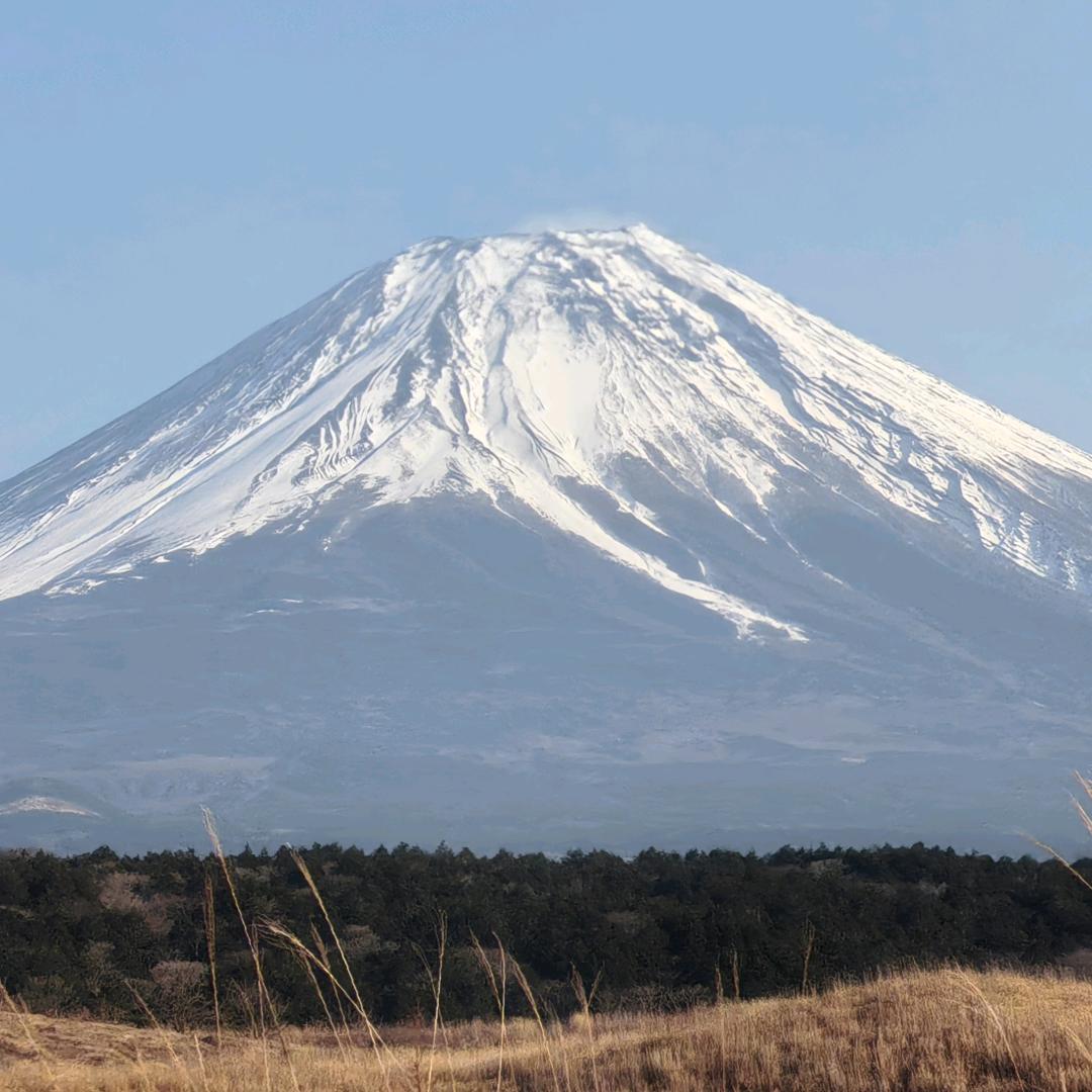 金陵山人