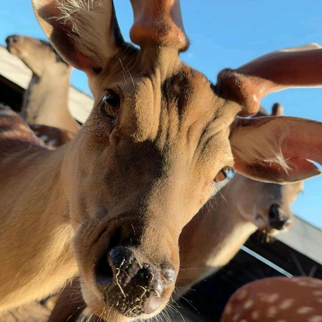 艺博鹿产品经销处