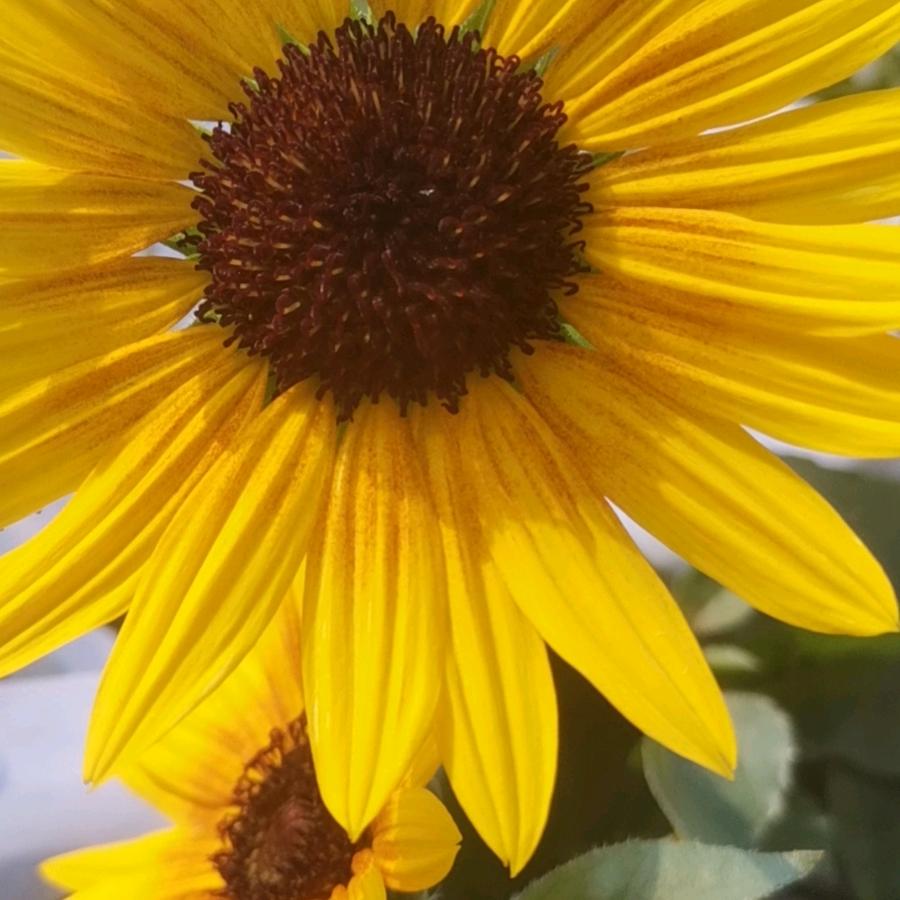 开❤一天是一天