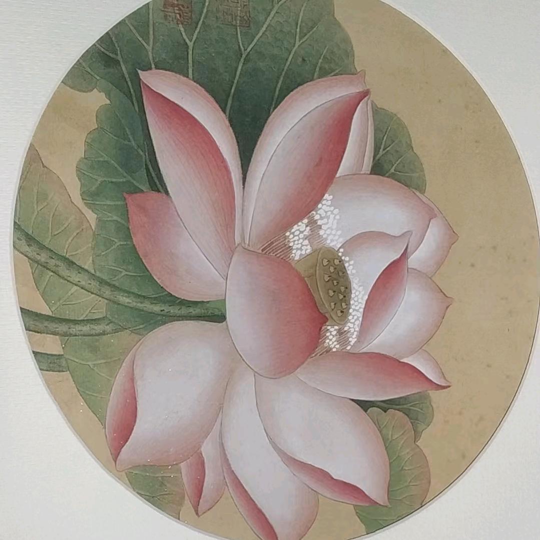 金陵画艺