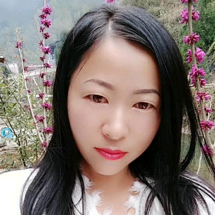 淡笑过往