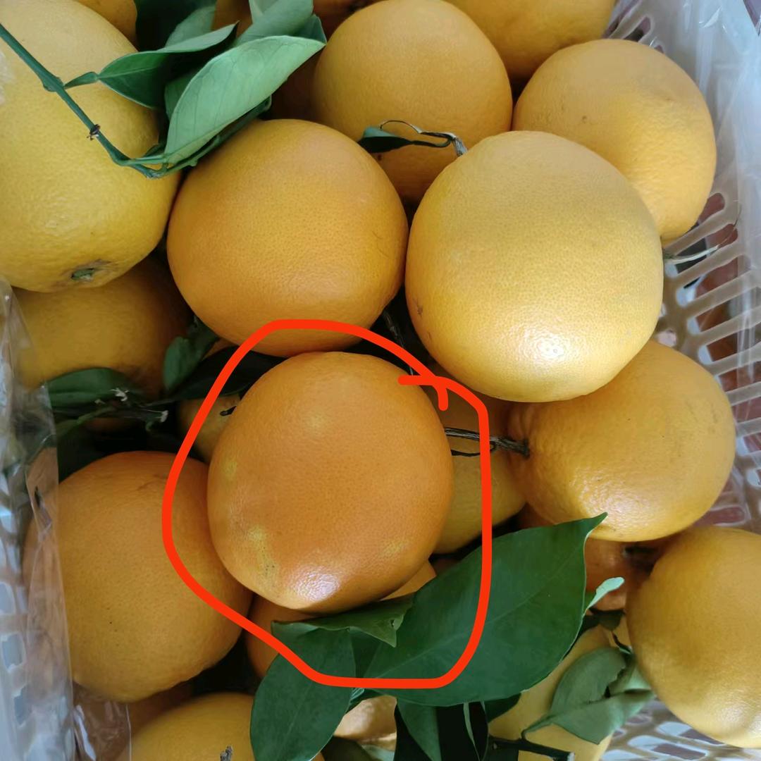 好好休息