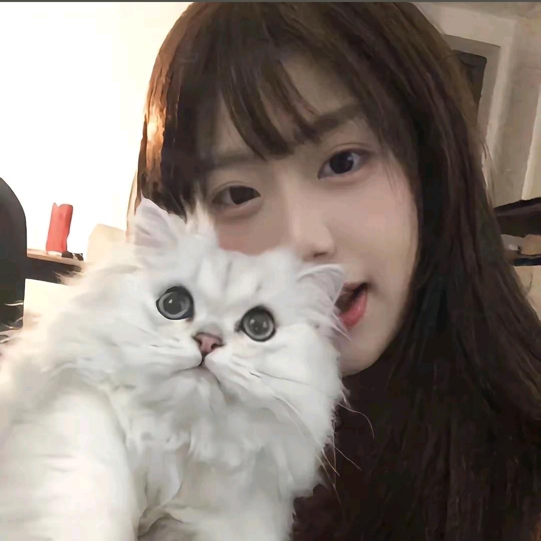次不次🍚