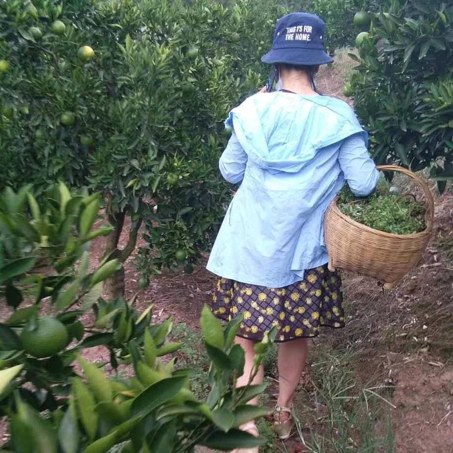秭橙阿姨