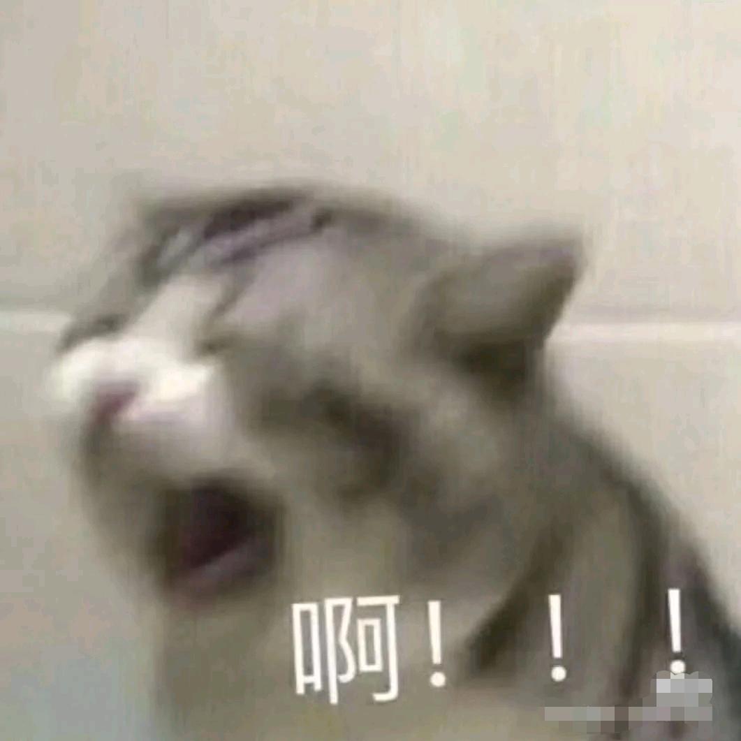 梦琪.…