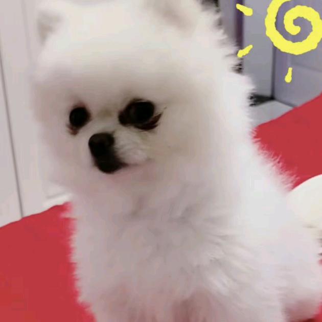 橙橙的姥姥
