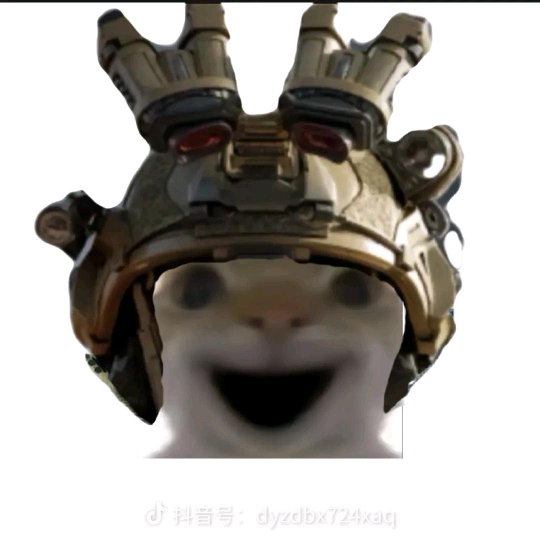 鼠鼠大王