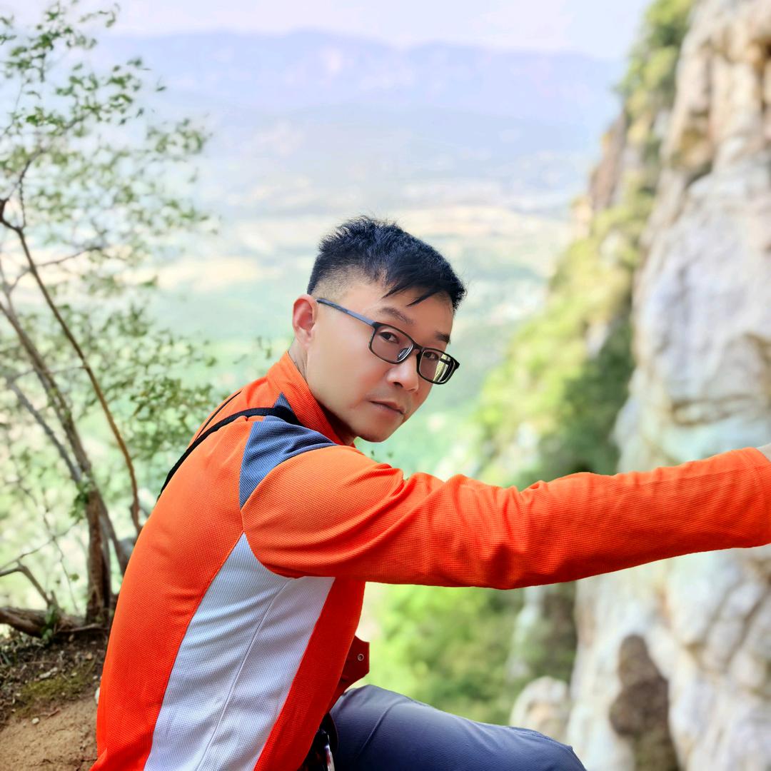孤独的狼