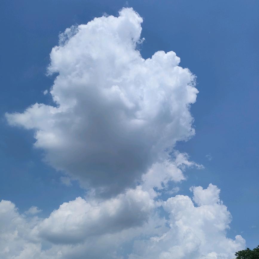曾  的困