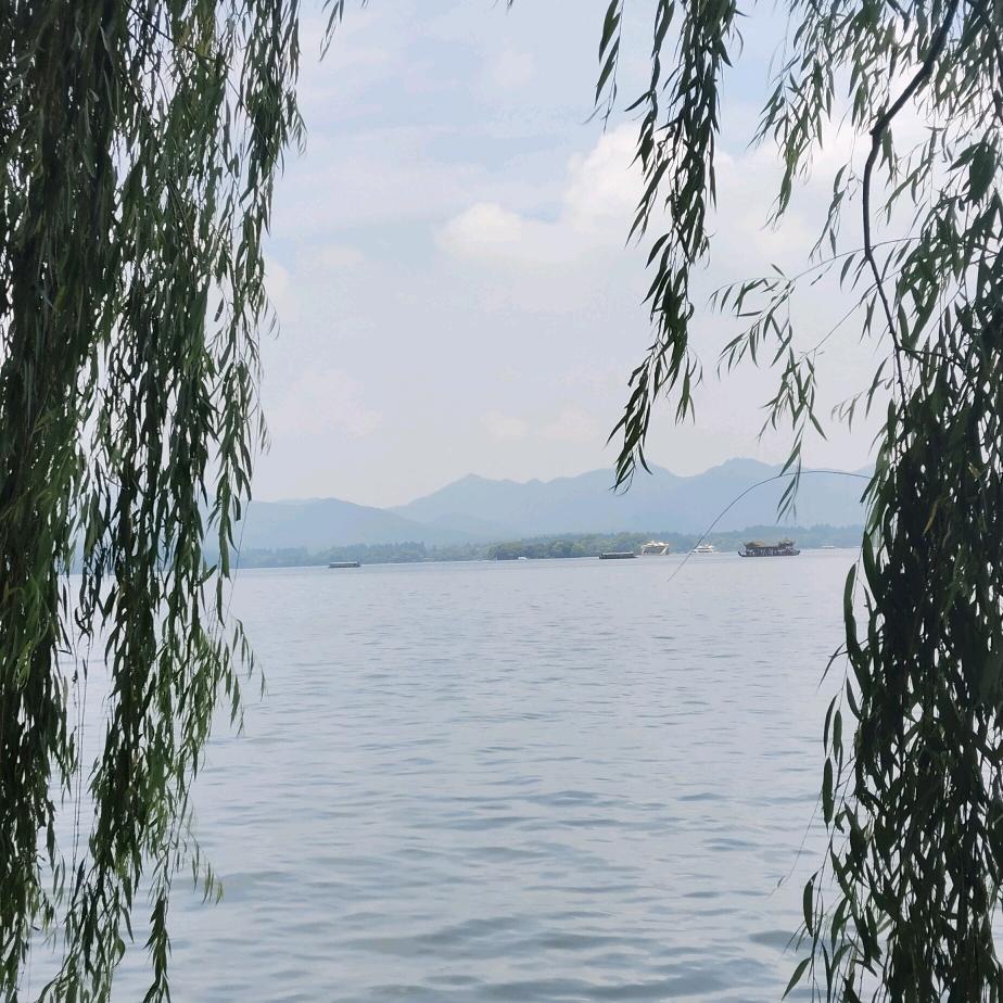 湖州鸿璨人力—王森