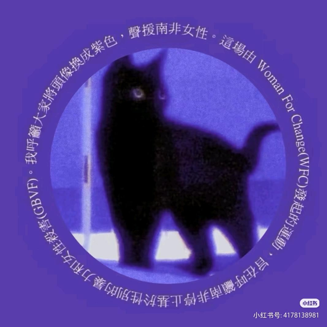 泡泡糖（有两只猫版）
