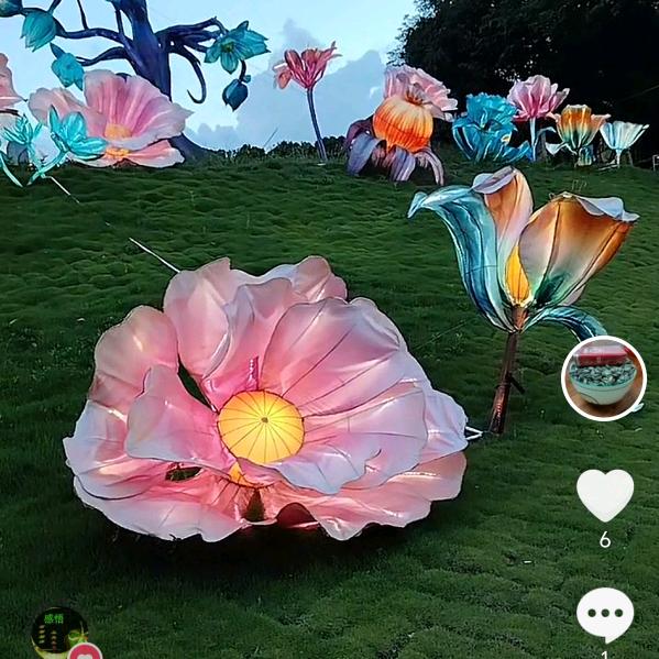开心果^O^