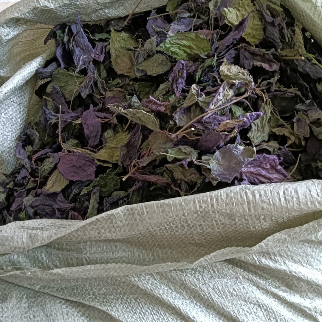 努力奋斗 幸福一生