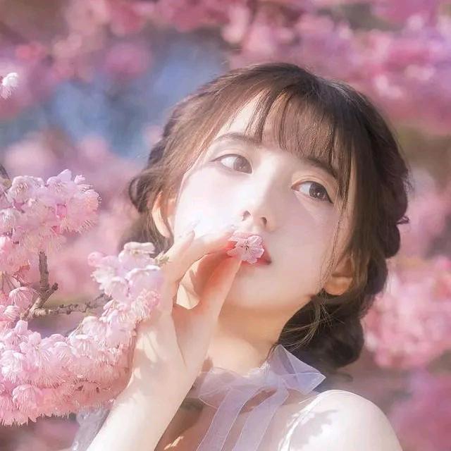 幻兽契约_小暮