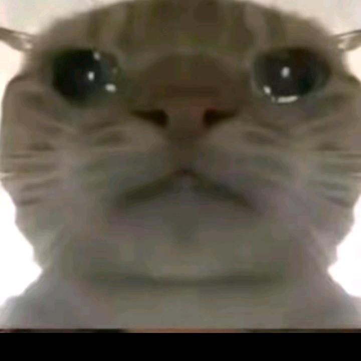 金不焕