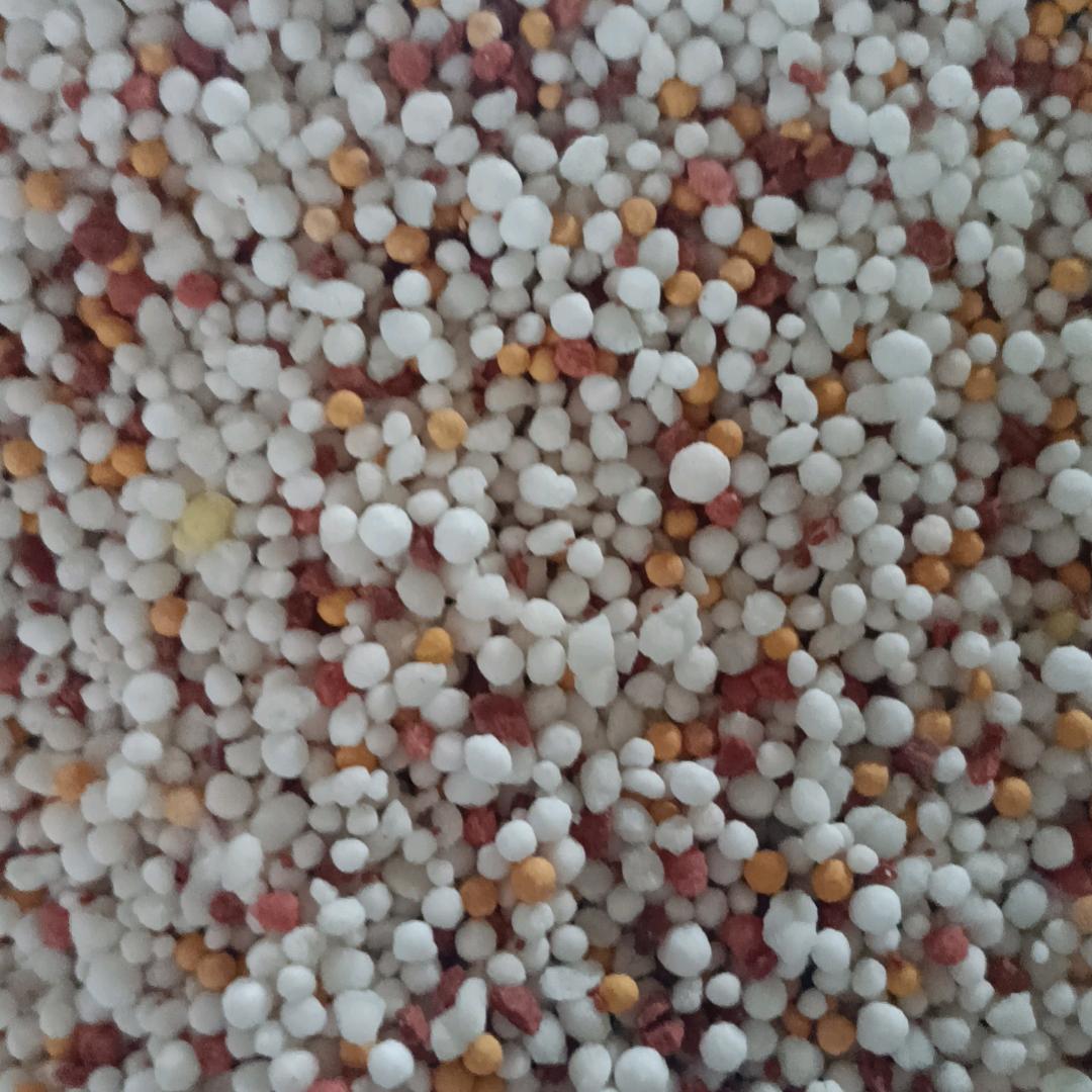 一辈子不正干！！！！