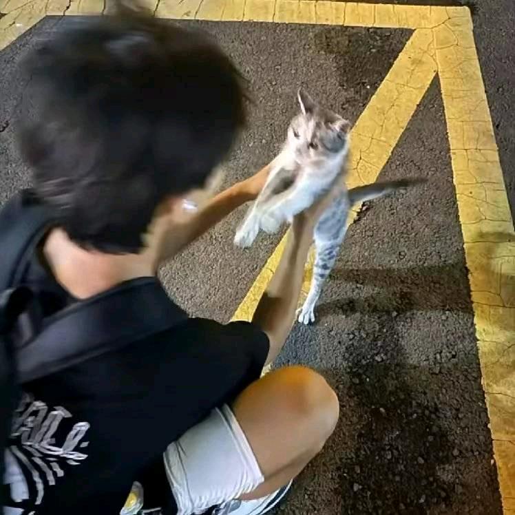 派总