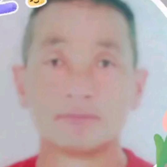 🕵️自由飞翔