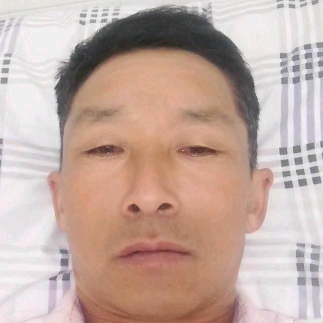 人间自有真情在