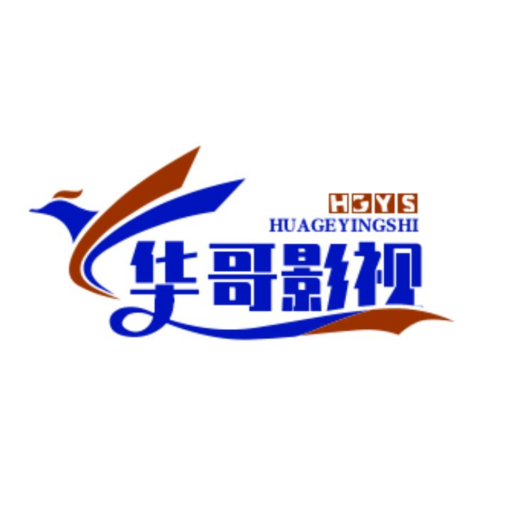 华哥影视解说