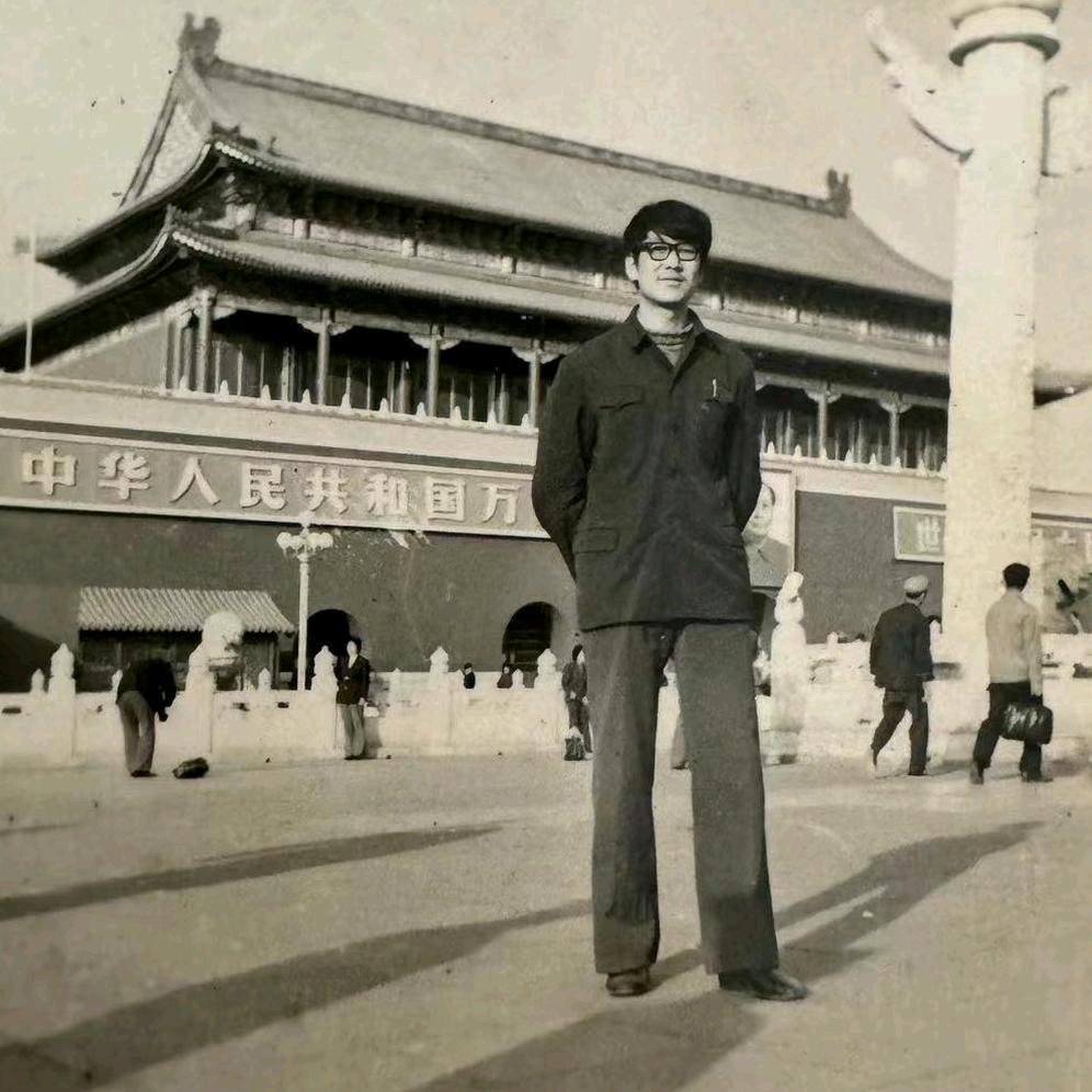 大树哥哥