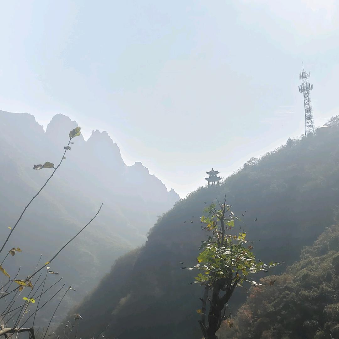 风景如画