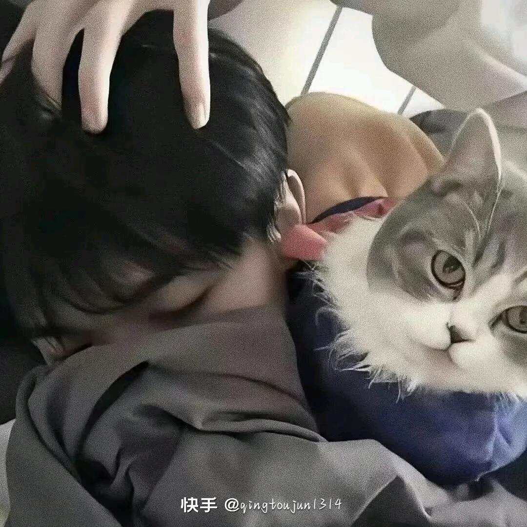 小狗贝贝