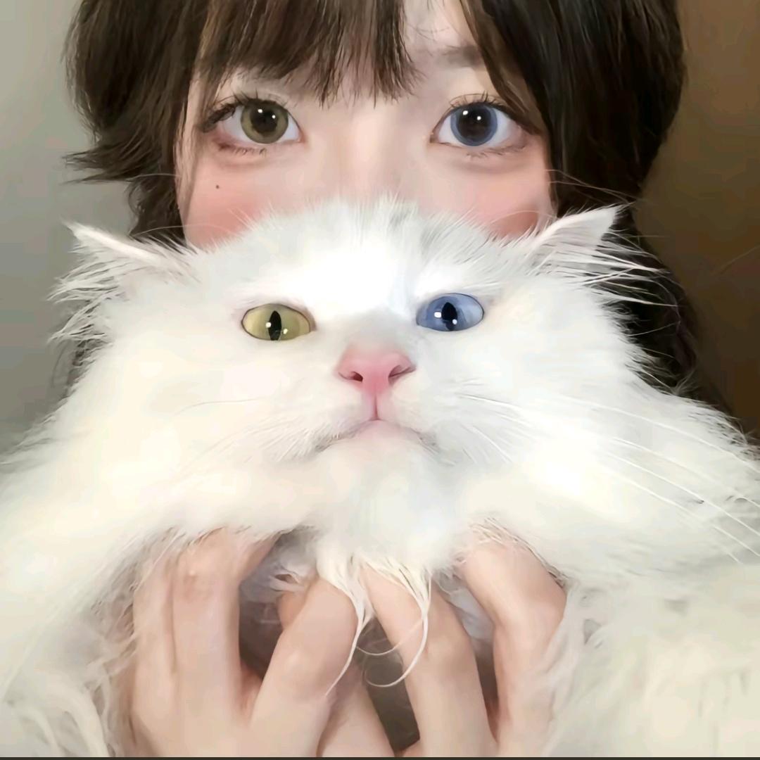 -亓